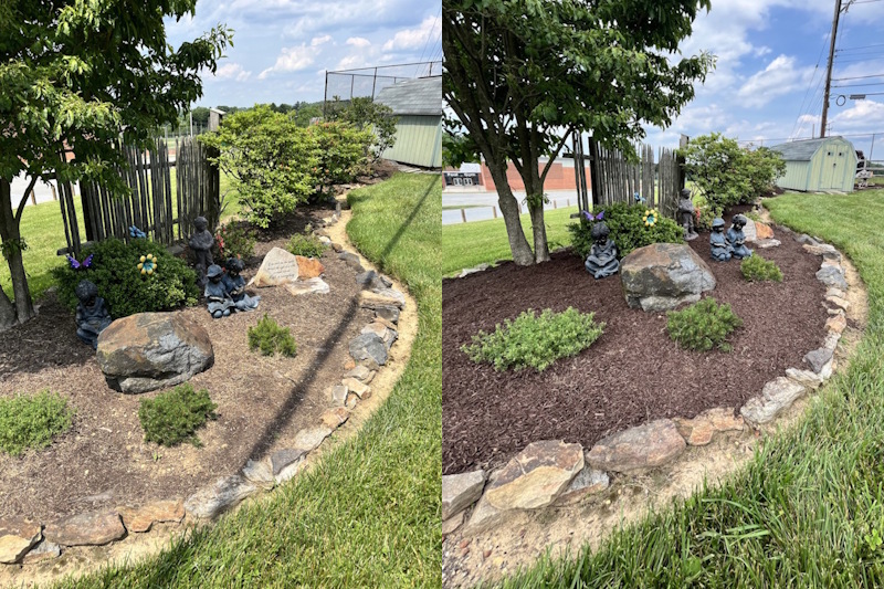 Landscaping before and after